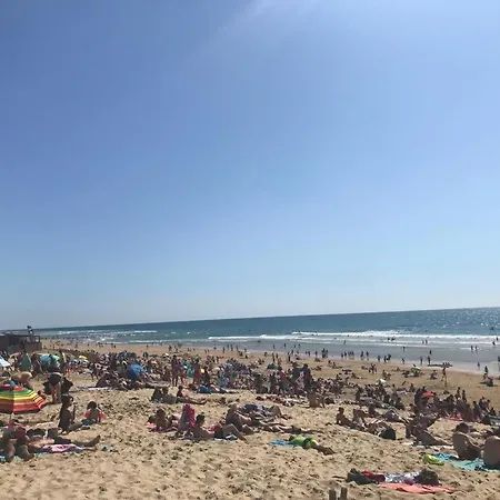 Spacious Castelo 아파트